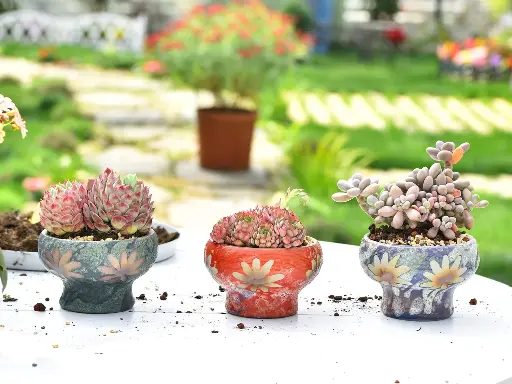 迷你陶瓷花槽套裝 （3 件套）